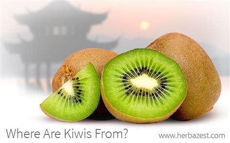 are kiwi fruits from china